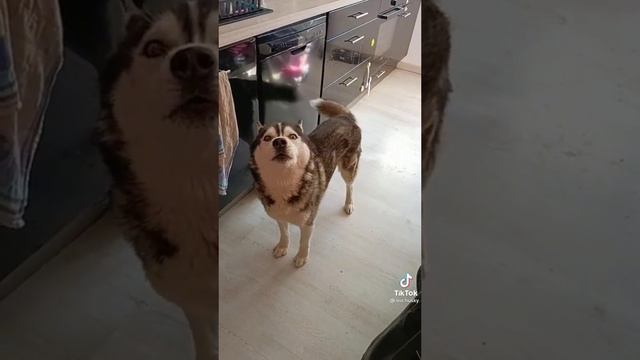 когда забыл выключить утюг