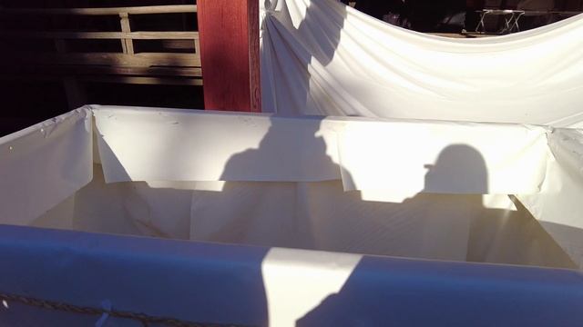 Experience the Japanese New Year Tradition ⛩️?? | The first sunrise of 2024 ? | Japan Travel