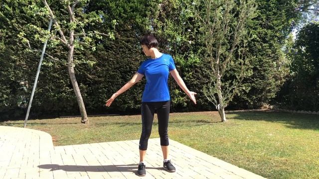 八段錦 - Ba Duan Jin - 8 Brocades Qi Gong | TCM Healing Center