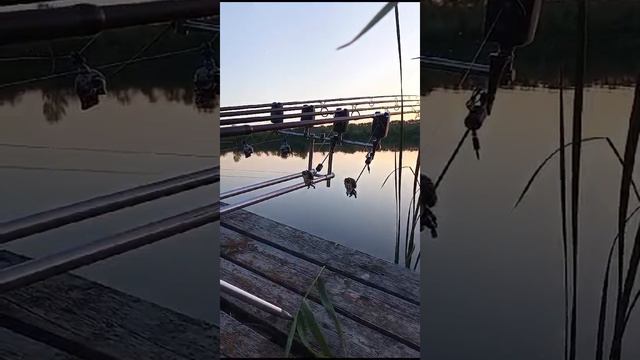 Видео WhatsApp 2024-06-14 в 08.41.16_acb229ca
