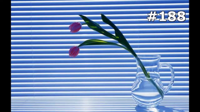 #188. Цветы и растения - очень яркие цветы