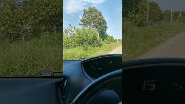 Дальнереченский район с. Звенигородка