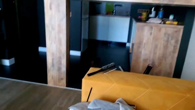 Абиссинская кошка приносит добычу.