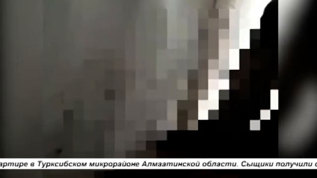 ПОЛИЦЕЙСКИЕ ЗАДЕРЖАЛИ ЛИЦ, ОБЪЯВЛЕННЫХ В МЕЖДУНАРОДНЫЙ РОЗЫСК