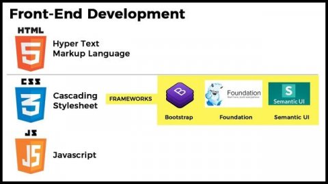 Web Developer career in India (in Hindi)