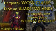 Какую версию World Of Warcraft выбрать новичку|Не трогай классику, оно тебя сожрет!