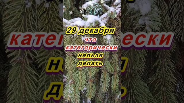 29 декабря народный праздник Агеев день: что категорически нельзя делать
