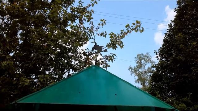 Байкерский флюгер