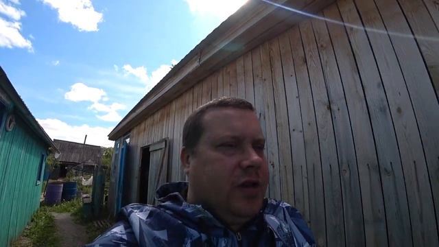 Оголодавшие коты _ Приготовил блюдо столовой СССР _ Разные истории про котов