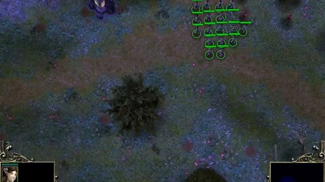 Играю в SpellForce - Platinum Edition.