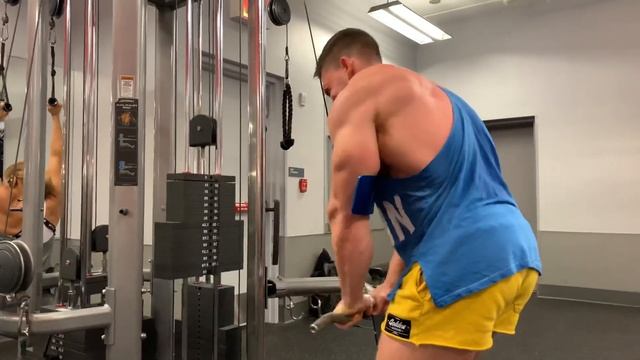 Tricep Pushdowns (Arm Blaster)