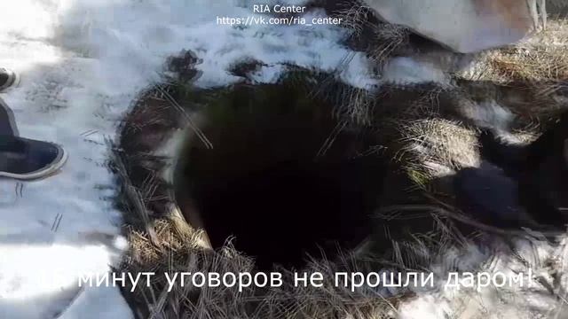 Спасение собаки из колодца