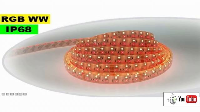 Strip LED RGB-WW IP68 - Double assemblage de LED 5050 et 3528 5 mètres