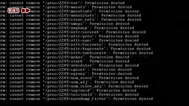【バルス】rm -rf / を実行するとどうなるのか？2019年最新版