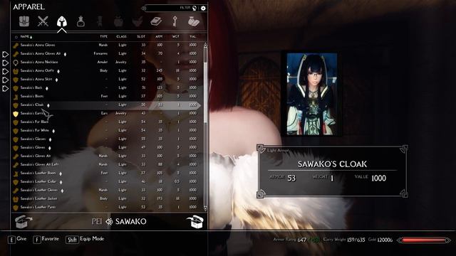 Skyrim: Pei Follower