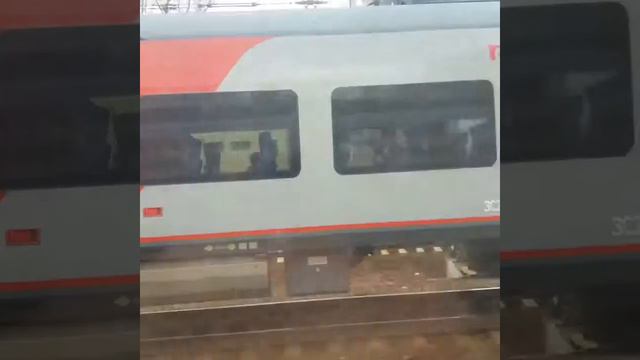 Ласточка прибывает на Ленинградский вокзал