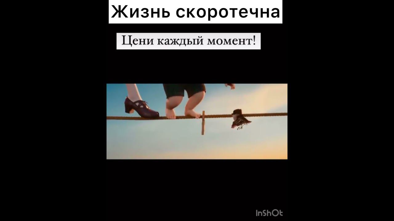 #врек #shortvideo #дорогажизни #лучшее #топ