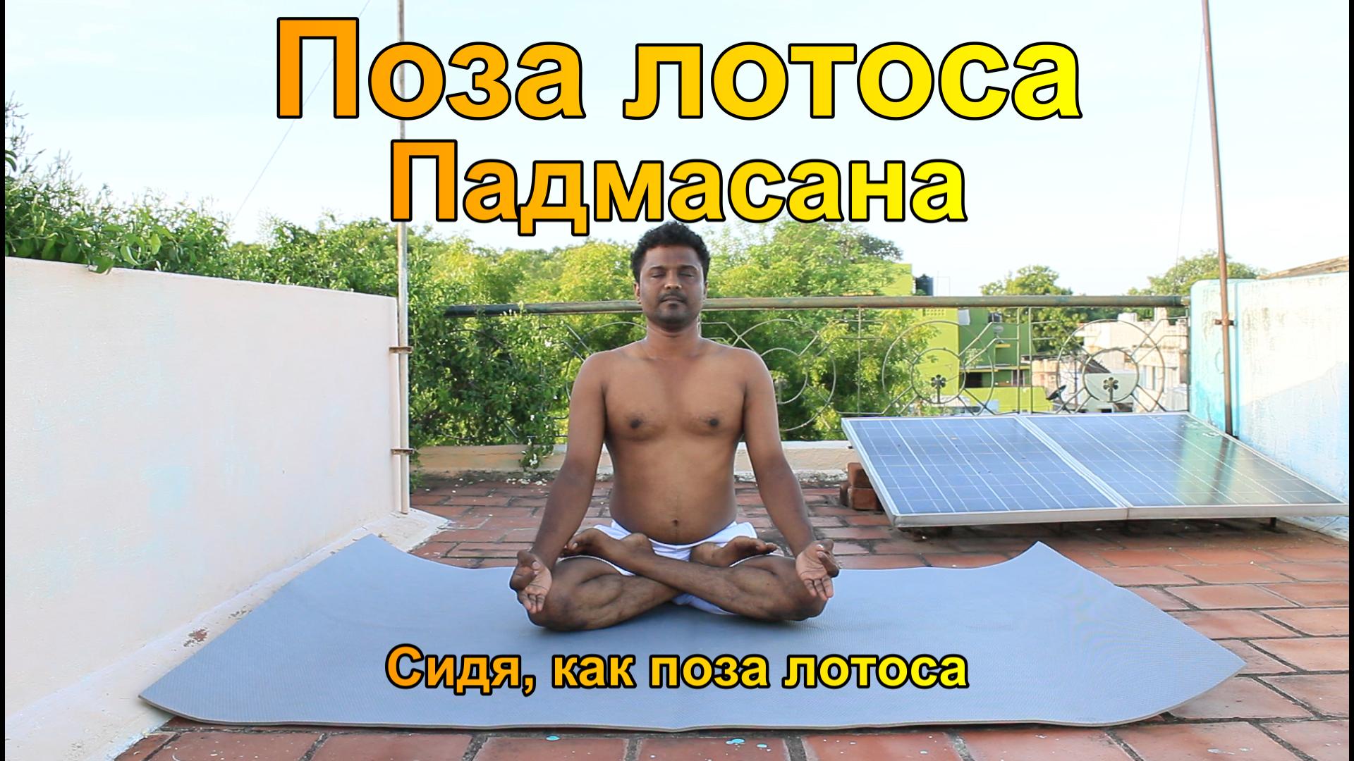 Падмасана Йога -
Йога в позе лотоса