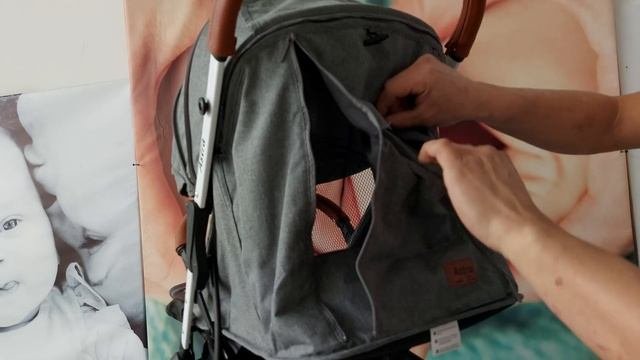 Прогулочная коляска Carrello Astra