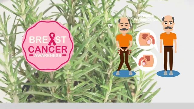 Unlocking The Secrets Of Rosemary |Health Benefits And Usesروزمیری کے فوائد