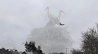 Благословенна пора... Хай вкаже дорогу додому весна...