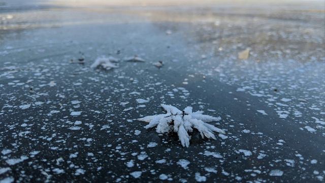 Я  снова вижу восток