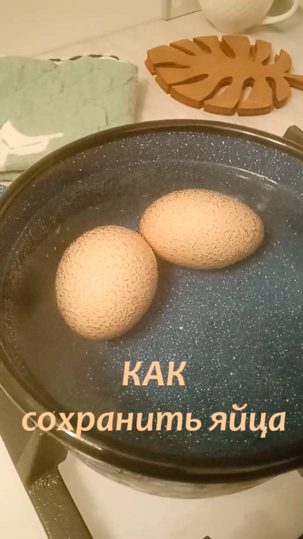 Как сохранить яйца.