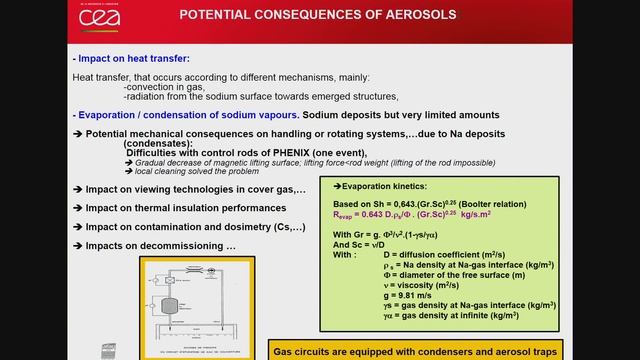 Interaction between Coolant and Structures of Liquid Metal Cooled Reactors