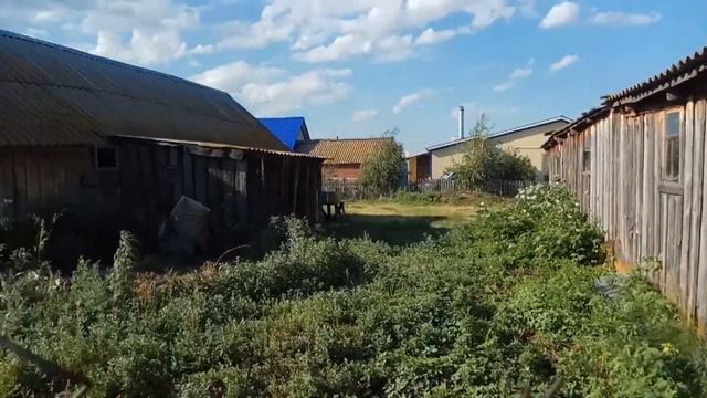 ДУБ+СОСНА Выбираем дом 3