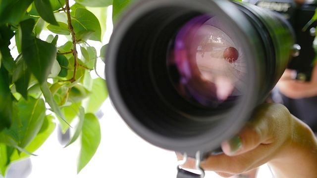 Начинаем фотоохоту! Фотоснайпер из СССР. Давай я тебя из фоторужья щёлкну!