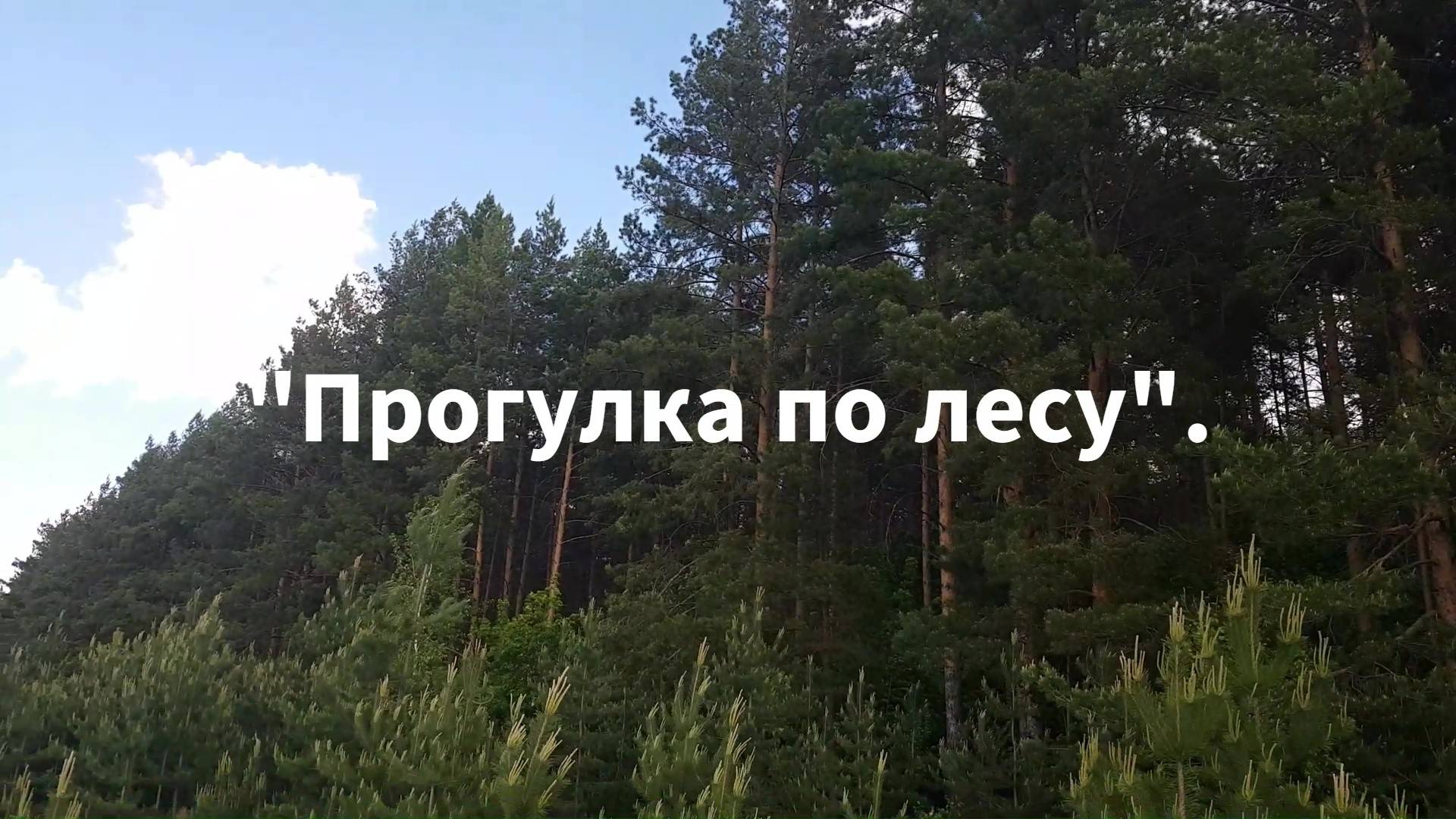 "Прогулка по лесу".