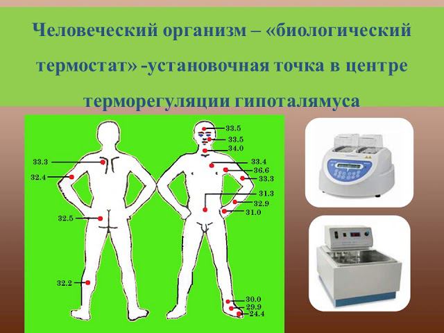 Патология теплового обмена фельдшера