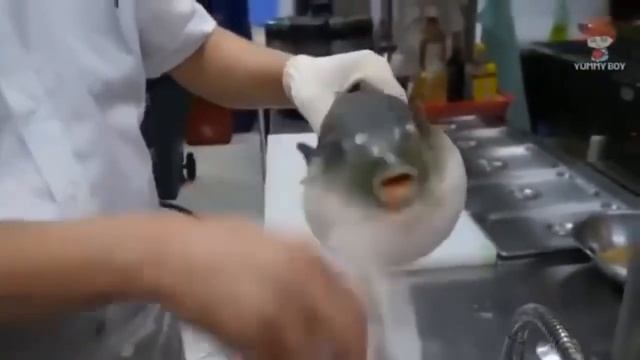Puffer fish Eating a Carrot (Meme)