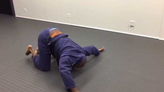 Fundamentals of Jiu-Jitsu: Learn how to roll and shrimp