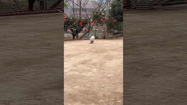 Ускорение