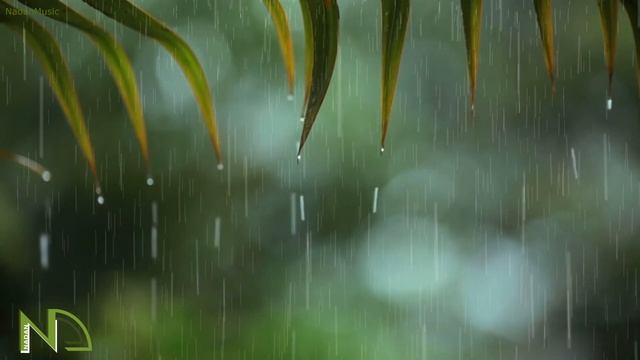 You & Me: Relaxing Piano Music & Soft Rain Sounds For Sleep & Relaxation