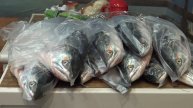 Свежая рыба. Горбуша 2020