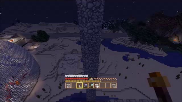 Minecraft Skull project