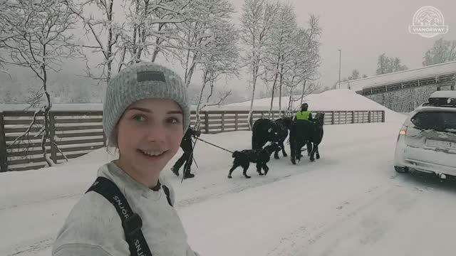 НОРВЕГИЯ> Один зимний день. (Winter in Norway)