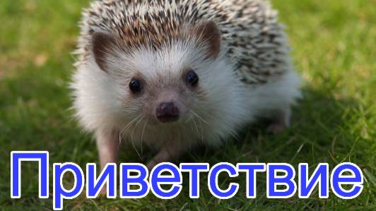 VR-игры Онлайн