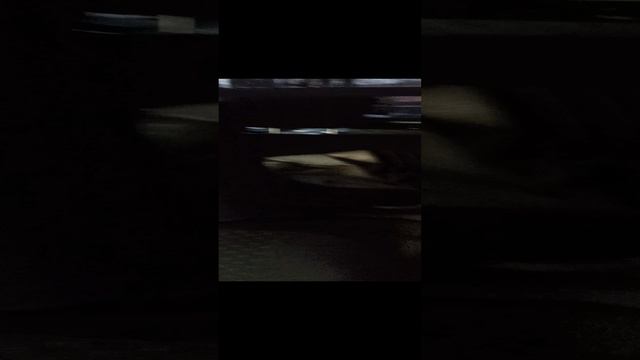 VID_20231213_162928.mp4