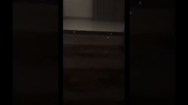 ХБК квартира в аренду на длительный срок