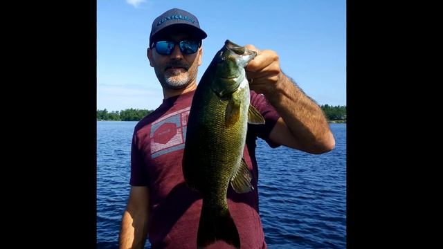 Smallmouth Bass fishing with GULP Minnows