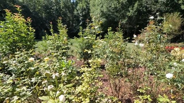 Pulling Petunias & Preparing For Fall | Gardening with Creekside