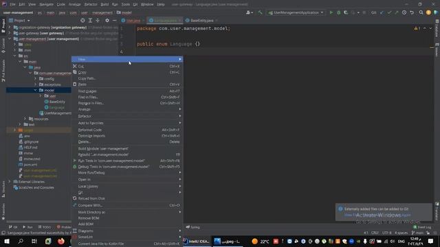 create User Entity