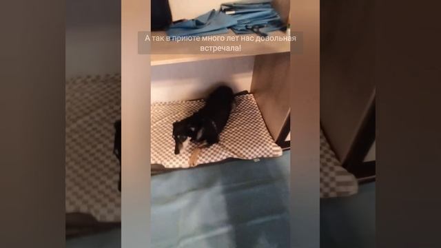 Стать волшебником хотя бы раз в жизни