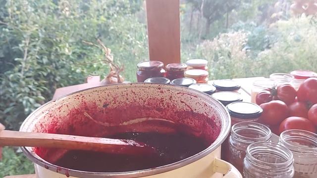 Dulceata de mure - reteta bunicii