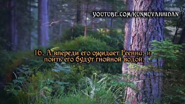 А впереди его ожидает Геенна, и поить его будут гнойной водой