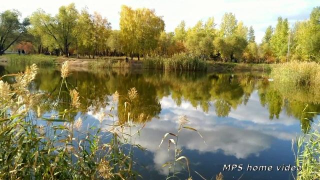 Осенняя пора...Прощальная краса Омского парка.HD.mp4