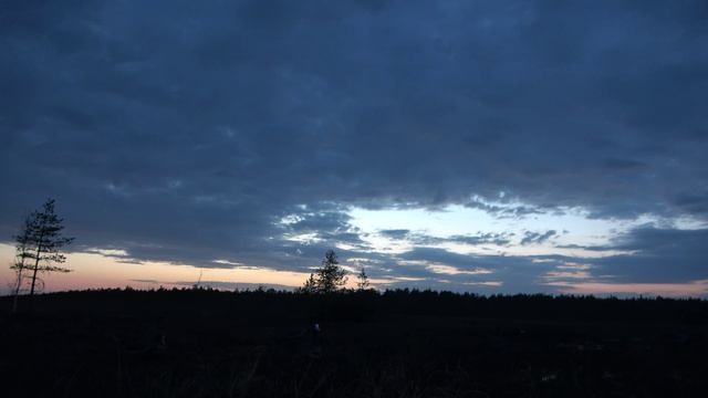 Закат солнца на болоте